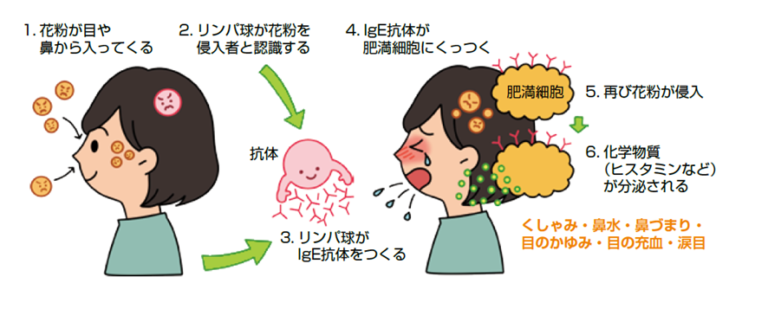 「肯定的な」結果とは何を意味しますか?